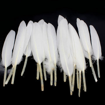 Feather Artificial Small White Colour 20pcs CFS-WE