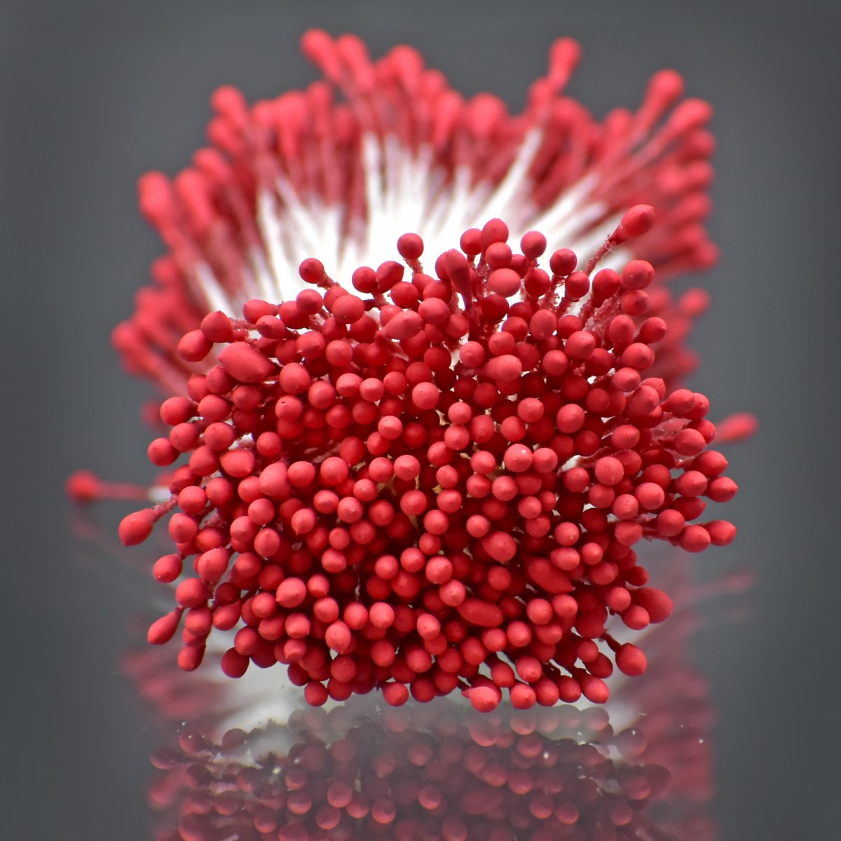 jags-mumbai Artificial Flower Artificial Flower Polons Pack Of 5 Red AFP4-RD