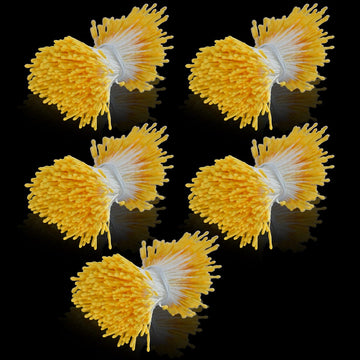 Artificial Flower Polons Pack Of 5 Rice Yellow