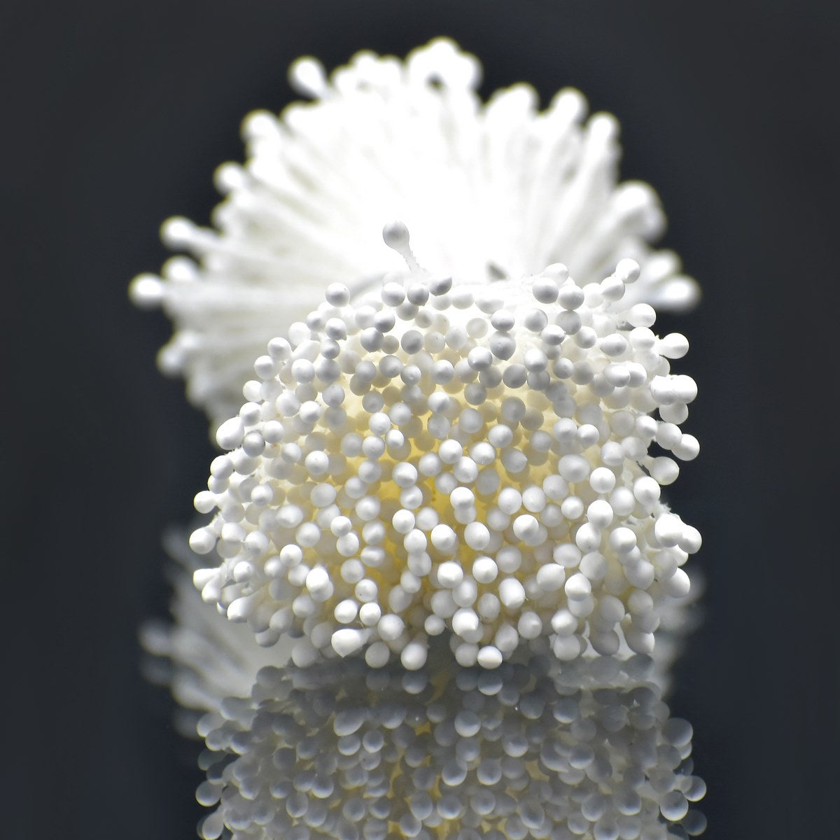 jags-mumbai Artificial Flower Artificial Flower Polons Pack Of 5 White