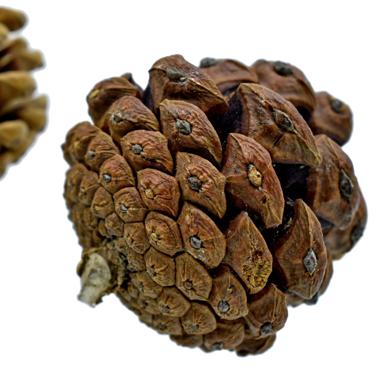 jags-mumbai Artificial Flower DIY Craft Wooden Show Pics Flower 4Pc 5x8cm