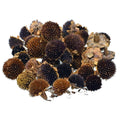 jags-mumbai Artificial Flower Dried Flower Sunflower Heads 40GM