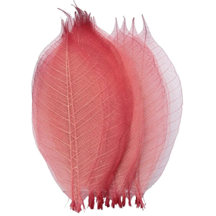 Dried Veins Leaf LF5X25