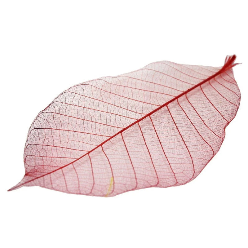 jags-mumbai Artificial Flower Dried Veins Leaf LF5X25