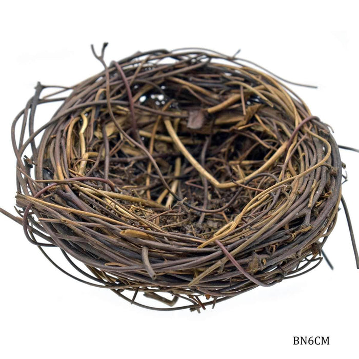 Bird Nest