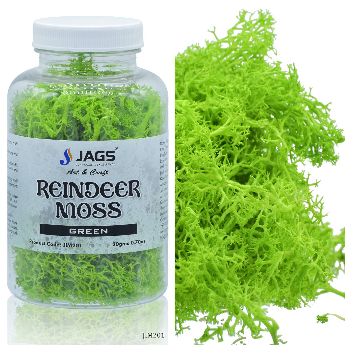 jags-mumbai Artificial Grass Jags Reindeer Moss 20 Grams Green JIM201