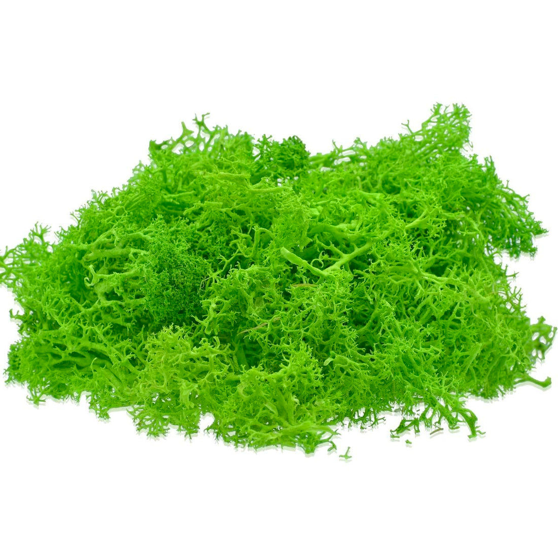 jags-mumbai Artificial Grass Jags Reindeer Moss 20 Grams Green JIM201