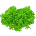 jags-mumbai Artificial Grass Jags Reindeer Moss 20 Grams Green JIM201