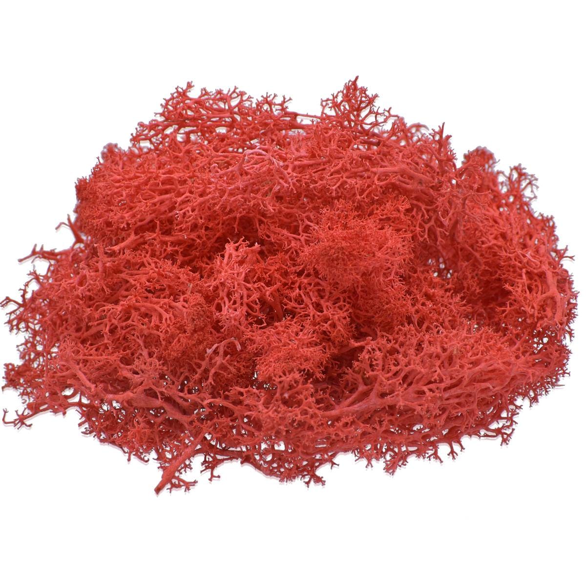 jags-mumbai Artificial Grass Jags Reindeer Moss 20 Grms Red