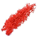 jags-mumbai Artificial Grass Jags Reindeer Moss 20 Grms Red