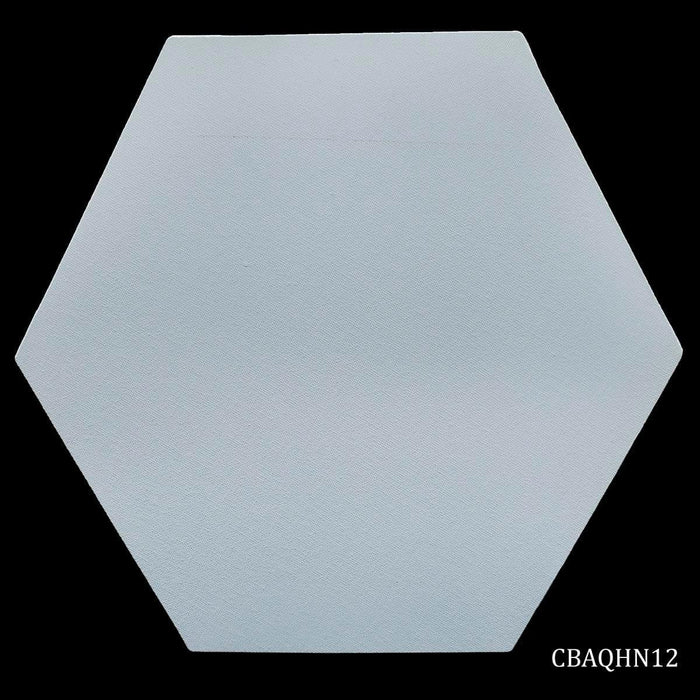 Canvas Board Artist Quality Hexagon12inch CBAQHN12