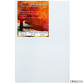 jags-mumbai canvas Boards Canvas Board Artist Quality White 12X16 CBAQ1216