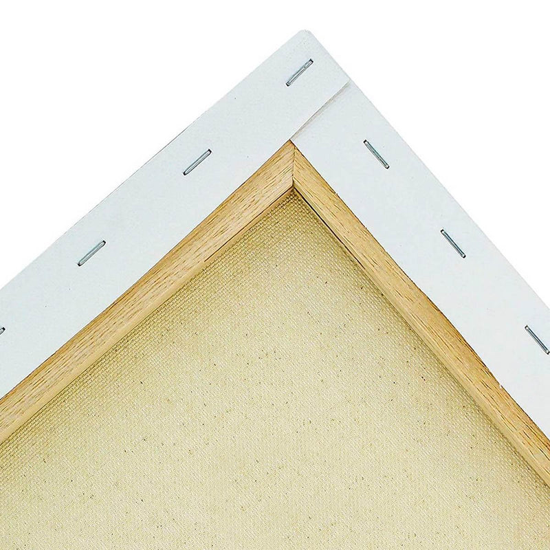 jags-mumbai canvas Boards Canvas Board Stretched Frame 12X12inch