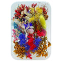 jags-mumbai Decoration Supplies Dried Flower Box