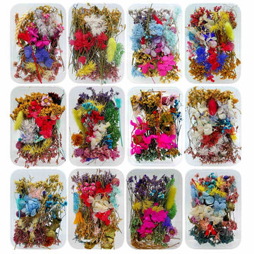 jags-mumbai Decoration Supplies Dried Flower Box