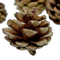 jags-mumbai DIY Craft raw material Wooden Pinecones | DIY Craft  (4Pc) 3x5cm