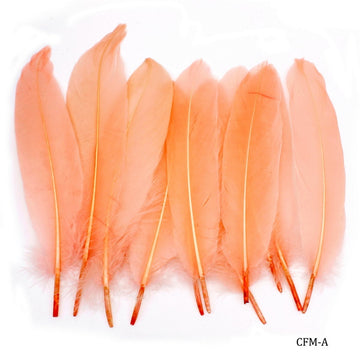Feather Artificial Medium Colour 10pcs CFM-A