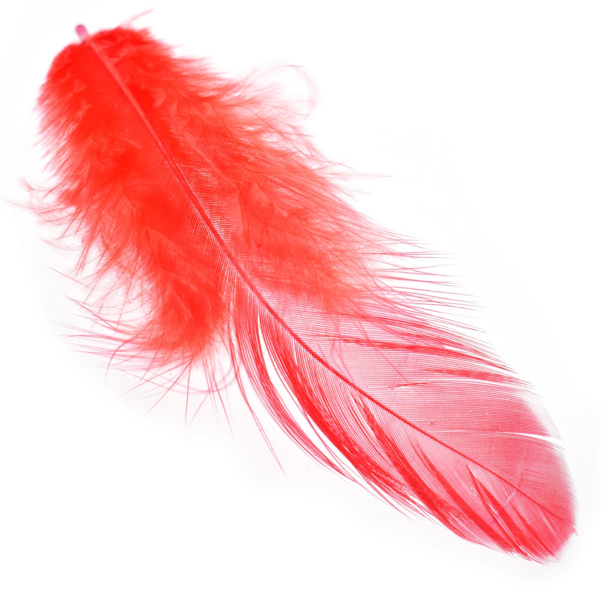 jags-mumbai Feather Feather Artificial Medium Mix Colour