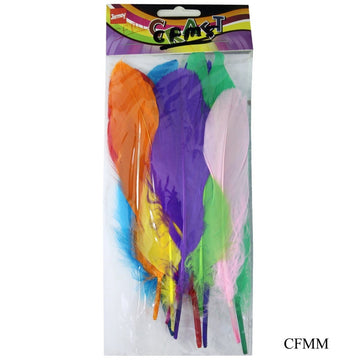 Feather Artificial Medium Multi 10pcs CFMM