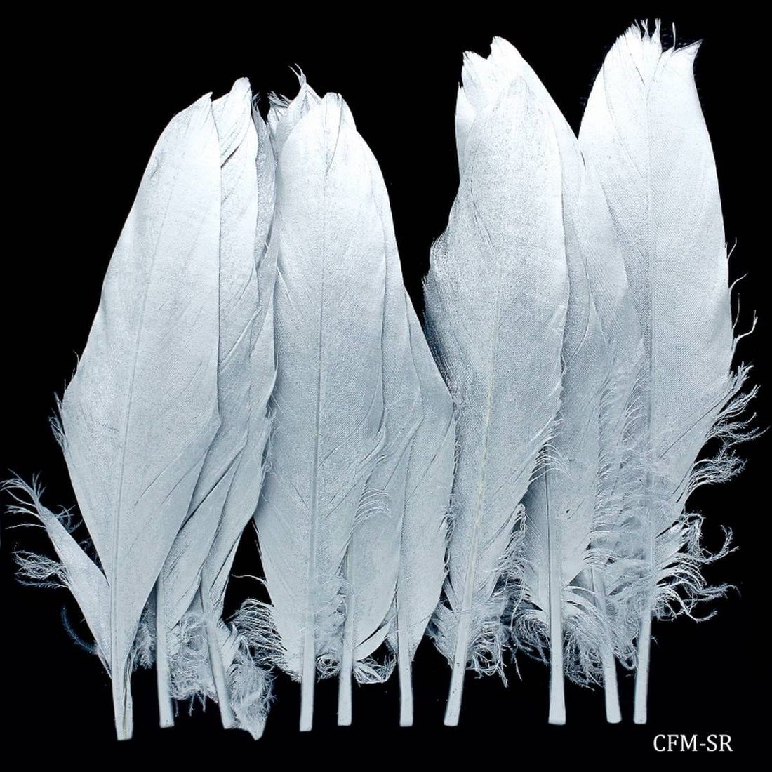 jags-mumbai Feather Feather Artificial Medium Silver 10pcs CFM-SR