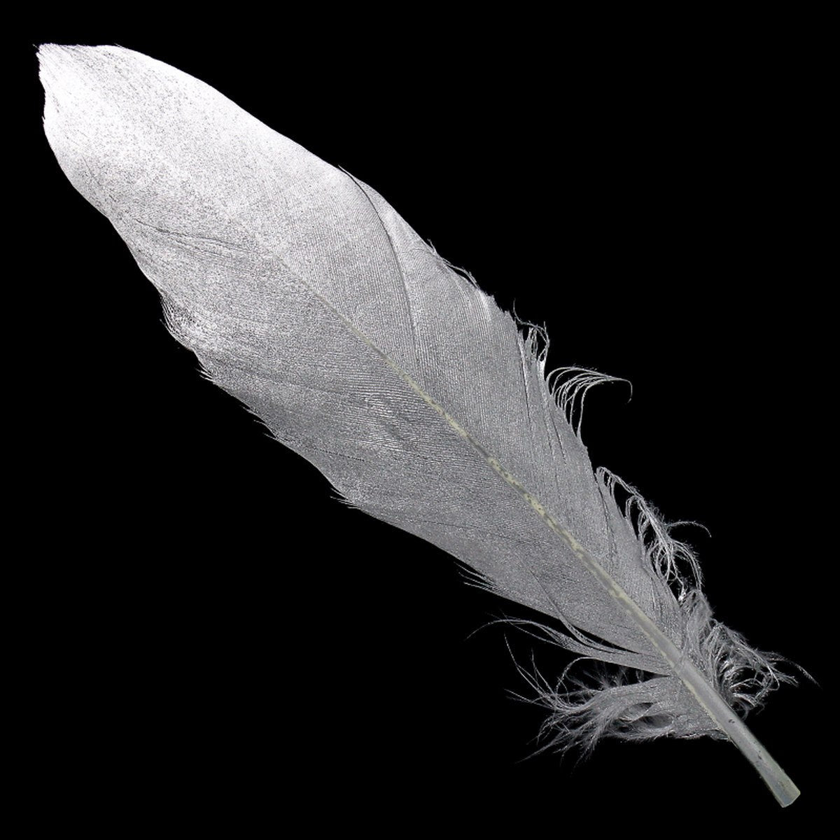 jags-mumbai Feather Feather Artificial Medium Silver 10pcs CFM-SR