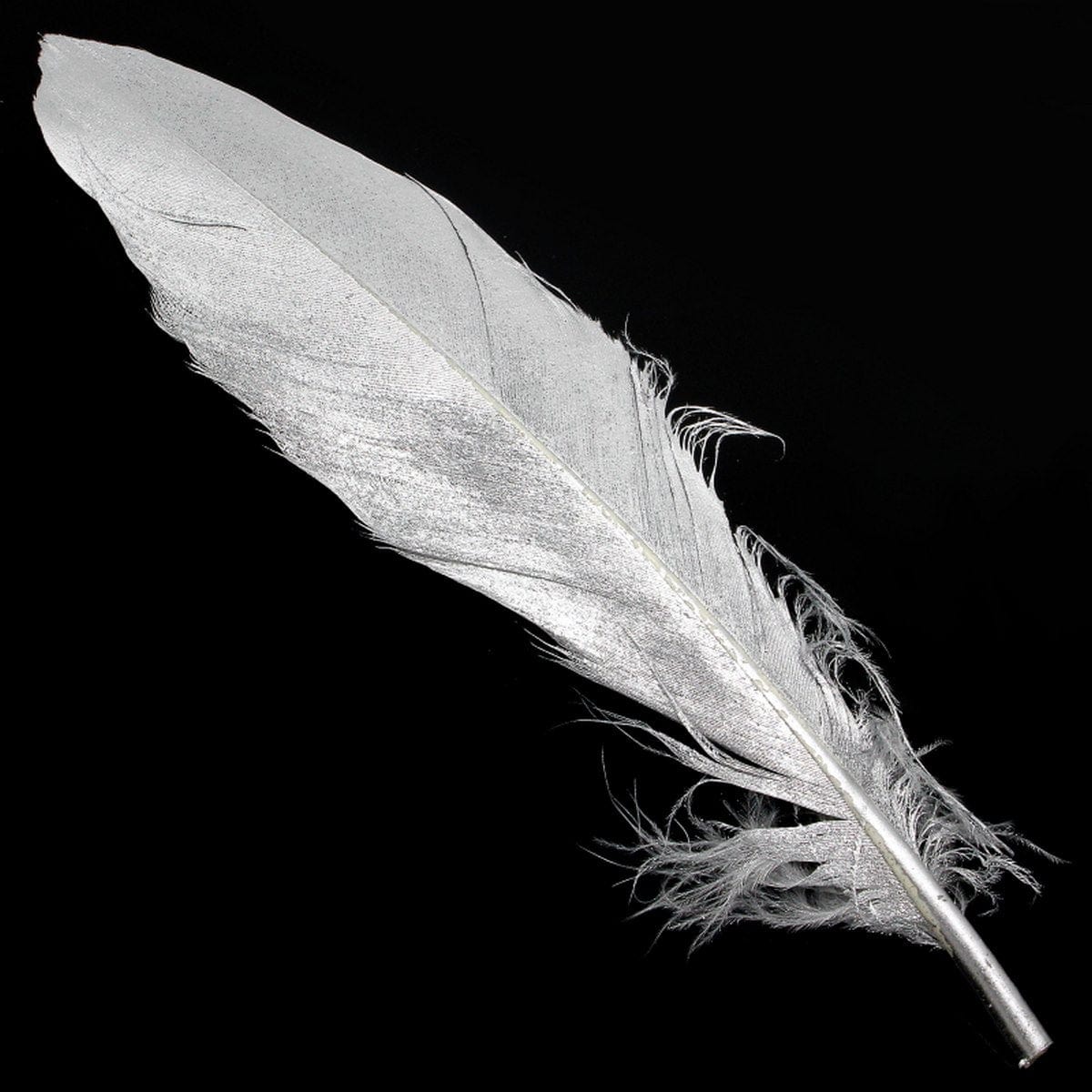 jags-mumbai Feather Feather Artificial Medium Silver 10pcs CFM-SR