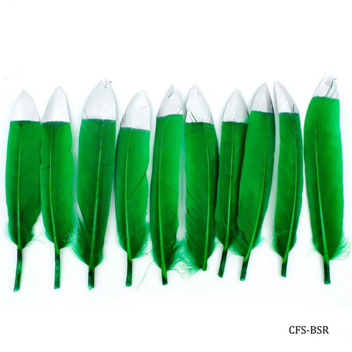 Feather Artificial Small 10 pieces (Colour+Silver top)