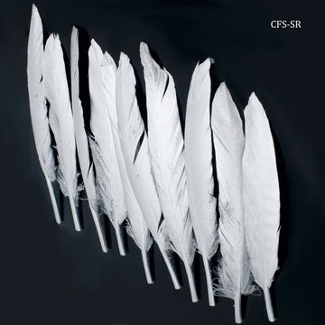 Feather Artificial Small Silver 10pcs