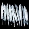 jags-mumbai Feather Feather Artificial Small Silver 10pcs