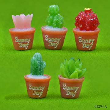 Miniature Model Cactus Pot 5Pcs