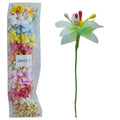 jags-mumbai Mulberry Flowers And Paper Art Cloth Flower 23-03 JB801-D