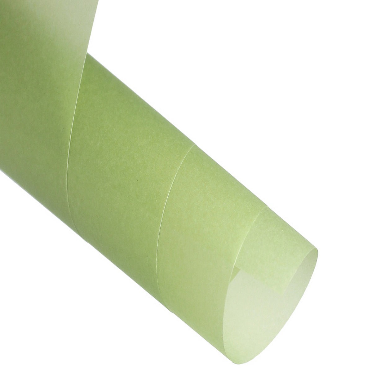 jags-mumbai origami sheet Wellam Paper Plain A4 Mendi Green 120gsm
