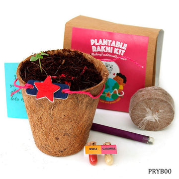 Tulsi Seed Rakhi - Plantable Yellow Box