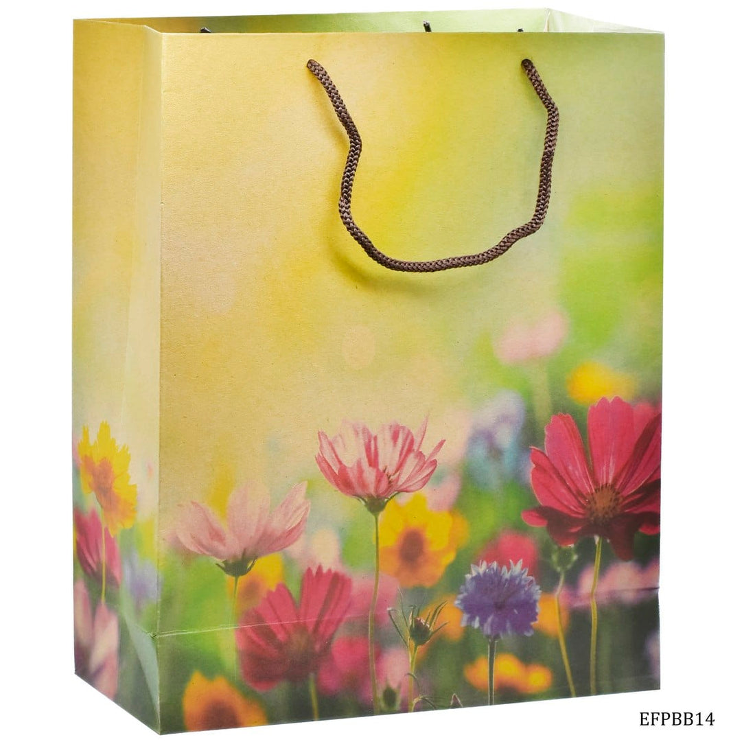 jags-mumbai Paper Bags Eco Friendly Paper Bag Big 14.3X10.7 Flower EFPBB14 Pack of 10