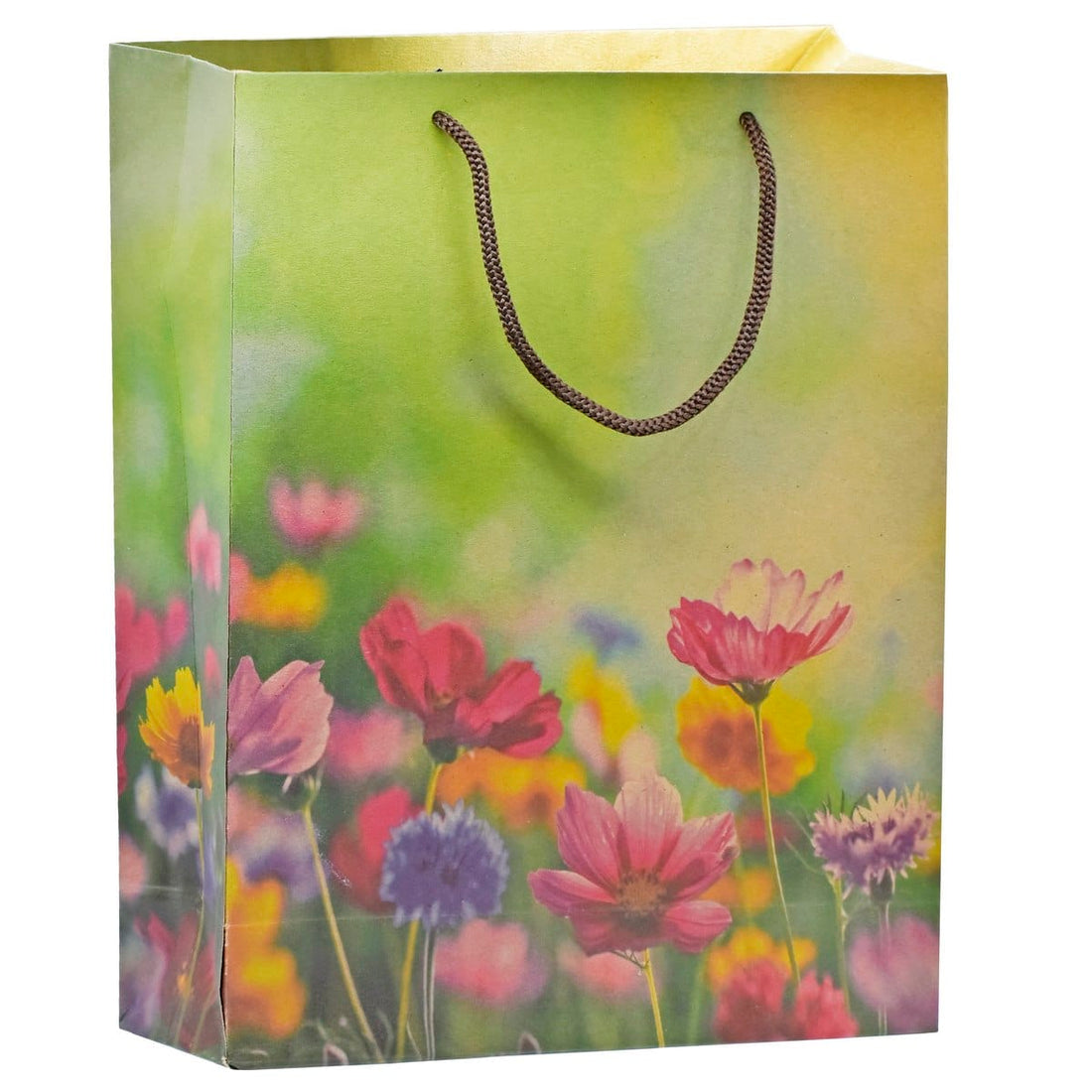 jags-mumbai Paper Bags Eco Friendly Paper Bag Big 14.3X10.7 Flower EFPBB14 Pack of 10