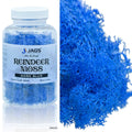 jags-mumbai Resin Pigment Jags Reindeer Moss 20 Grms Dark Blue