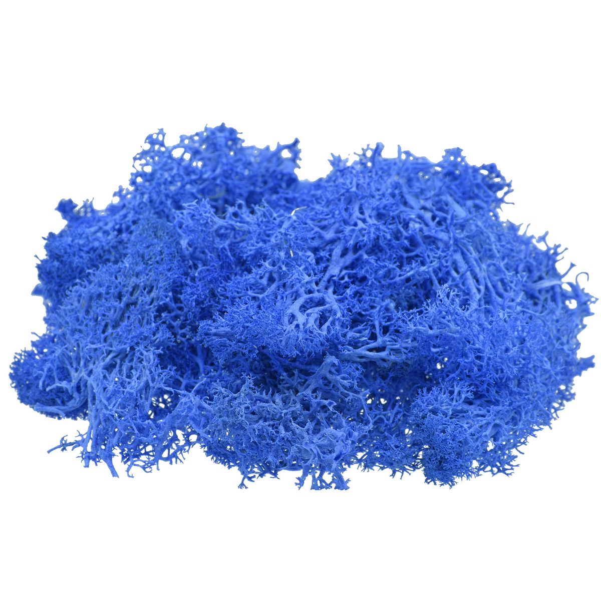 jags-mumbai Resin Pigment Jags Reindeer Moss 20 Grms Dark Blue