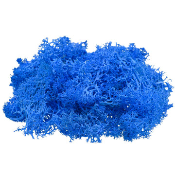 Jags Reindeer Moss 20 Grms Dark Blue