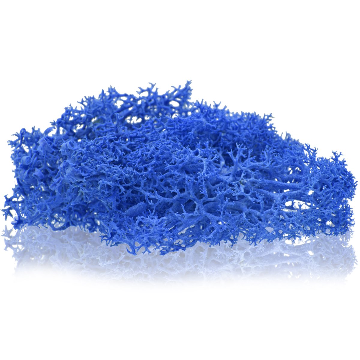 jags-mumbai Resin Pigment Jags Reindeer Moss 20 Grms Dark Blue