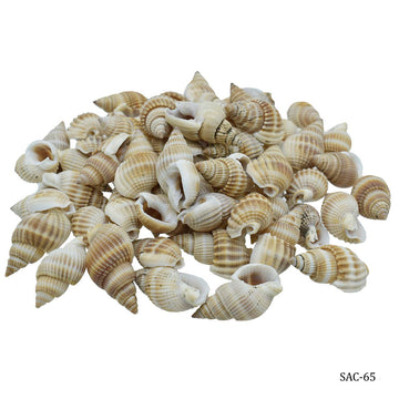 Shells Color Vali Kopparta 100gm