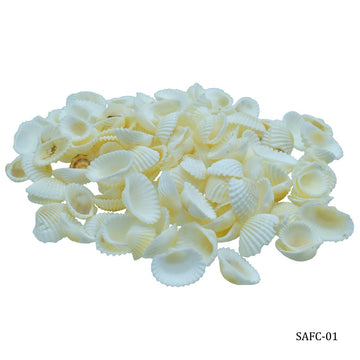 Shells for resin art (Contain 100 Unit)