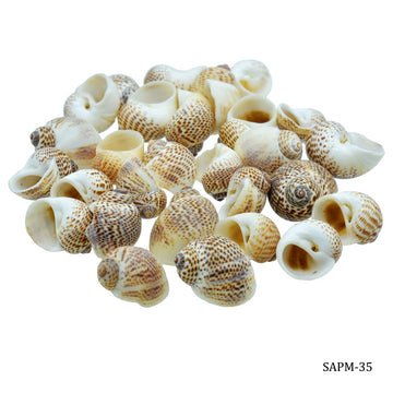 Shells for resin art (pack of 50gm)