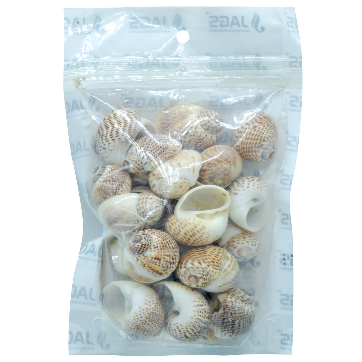 jags-mumbai Resin Shells for resin art (pack of 50gm)
