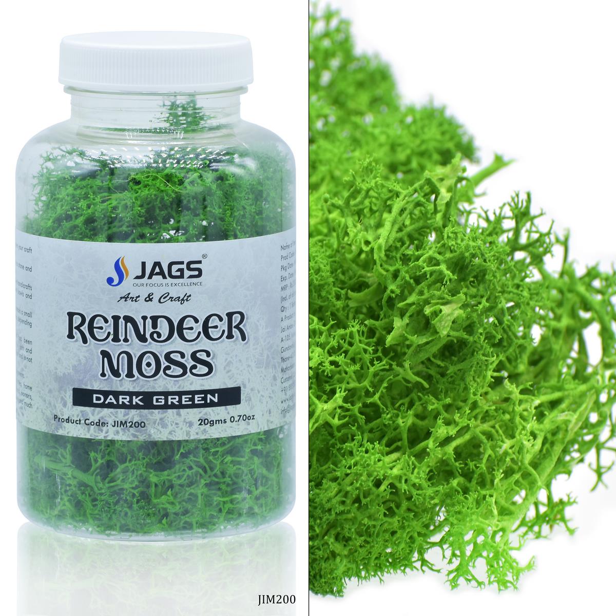 jags-mumbai Wooden & Plastic Box Jags Reindeer Moss 20 Grms Dark Greeen JIM200