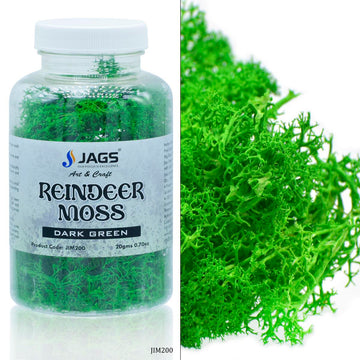 jags-mumbai Wooden & Plastic Box Jags Reindeer Moss 20 Grms Dark Greeen JIM200