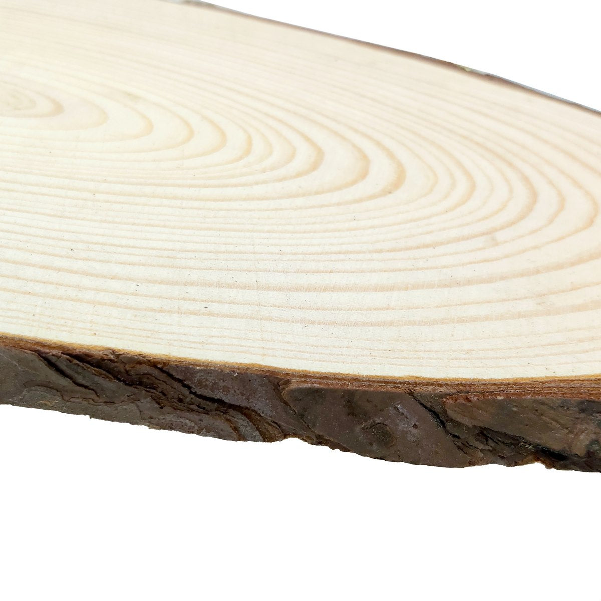jags-mumbai Wooden Slice Oval Wooden Plate(XXXL)
