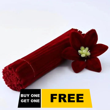 Buy 1 Get 1 Free Maroon Pipe Cleaner 200 pcs