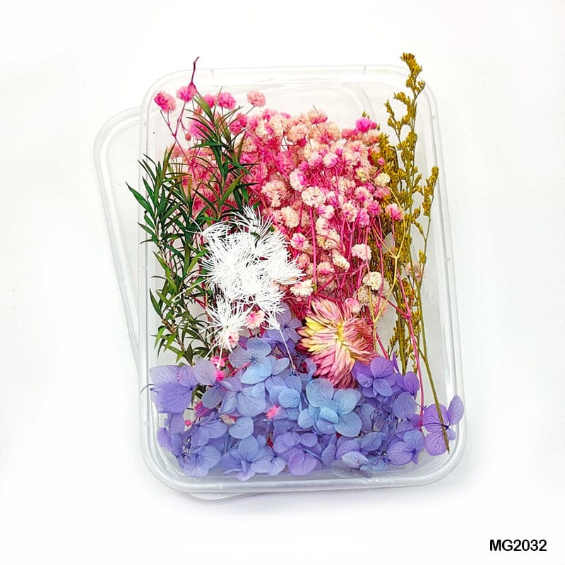 MG Traders 1 Dried Flower Dry Flower Box Mg203-2