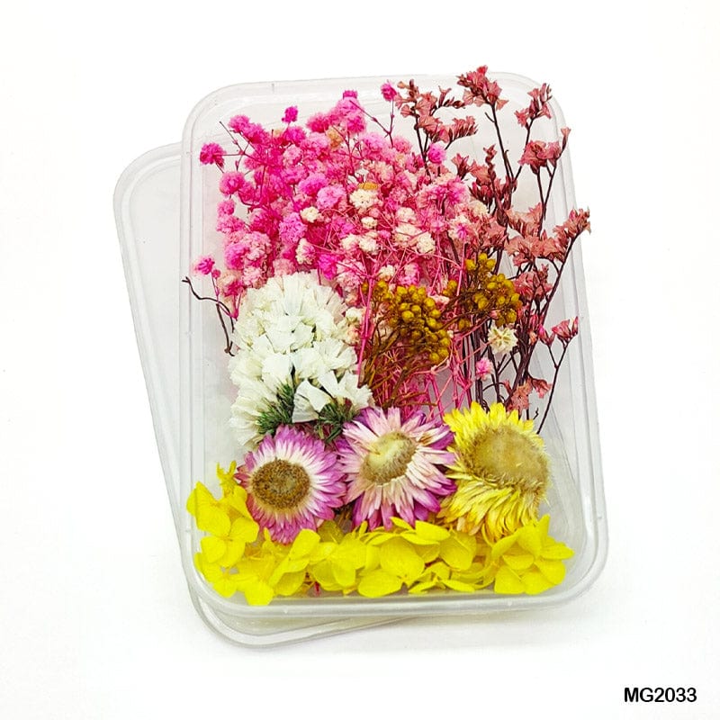 MG Traders 1 Dried Flower Dry Flower Box Mg203-3