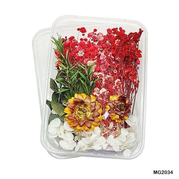 MG Traders 1 Dried Flower Dry Flower Box Mg2034